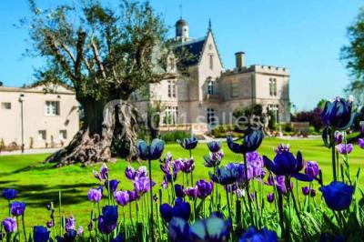 Location salle Pessac (Gironde) - Château Pape Clément #27