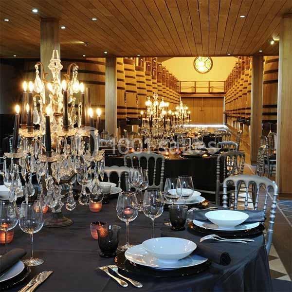 Location salle Pessac (Gironde) - Château Pape Clément #12