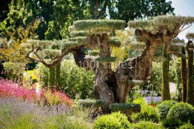 Location salle Pessac (Gironde) - Château Pape Clément #27
