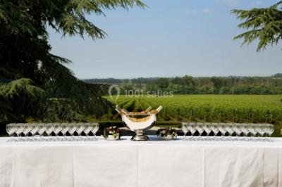 Location salle Saint-Christophe-des-Bardes (Gironde) - Château Fombrauge #43