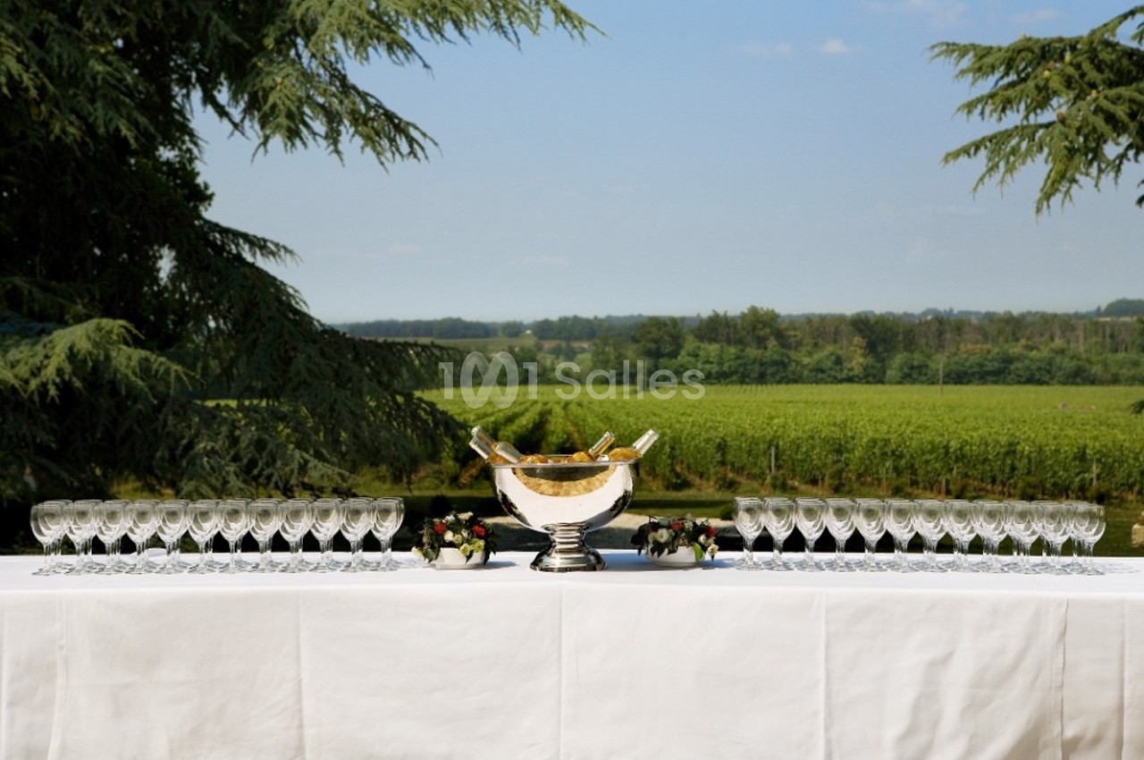 Château Fombrauge - galerie - photo 5