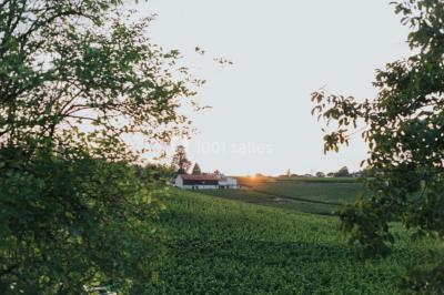 Location salle Saint-Christophe-des-Bardes (Gironde) - Château Fombrauge #43