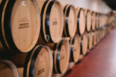 Location salle Saint-Christophe-des-Bardes (Gironde) - Château Fombrauge #43