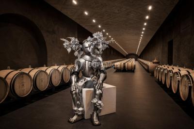 Location salle Saint-Laurent-Médoc (Gironde) - Château La Tour Carnet #39