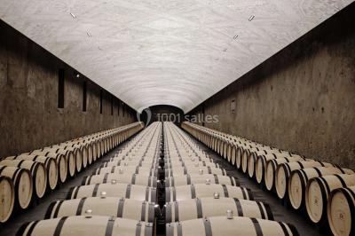 Location salle Saint-Laurent-Médoc (Gironde) - Château La Tour Carnet #39