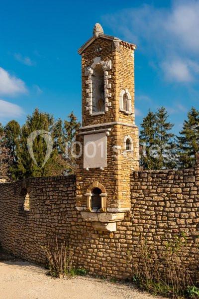 Location salle Côtes-d'Arey (Isère) - Domaine de la Barbelière #5