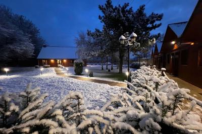 Un jardin avec pelouse, arbres variés et un lampadaire, éclairé par une lumière douce du matin.