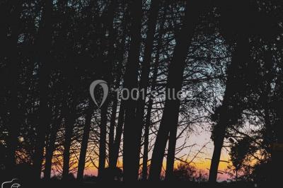 Location salle Vauvert (Gard) - La Churascaia #21