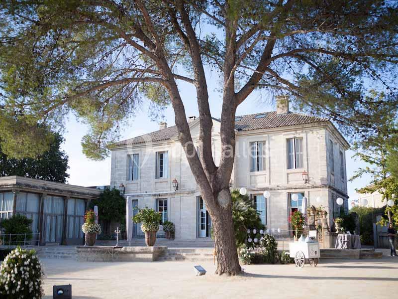 Façade d'une maison en pierre entourée de végétation, avec un grand arbre au premier plan et une cour dégagée.