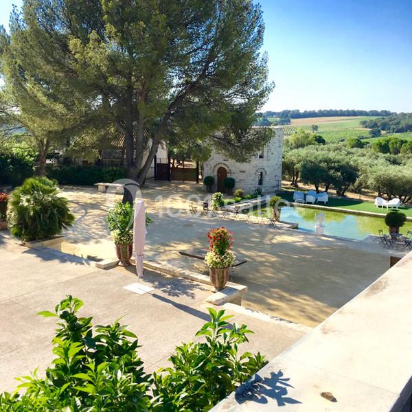 Cour ensoleillée avec piscine, arbres, plantes en pot et bâtiment en pierre, entourée de champs et d'oliviers.
