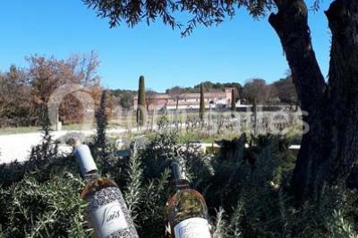Miniature Location salle Rognes (Bouches-du-Rhône) - Domaine Naïs #16 Terrasse en pierre avec des tonneaux en bois, vue sur un paysage verdoyant et une clôture en fer forgé.