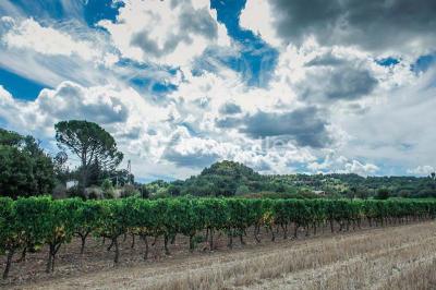 Miniature Location salle Rognes (Bouches-du-Rhône) - Domaine Naïs #15 Terrasse en pierre avec des tonneaux en bois, vue sur un paysage verdoyant et une clôture en fer forgé.