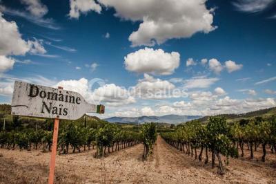 Miniature Location salle Rognes (Bouches-du-Rhône) - Domaine Naïs #10 Terrasse en pierre avec des tonneaux en bois, vue sur un paysage verdoyant et une clôture en fer forgé.