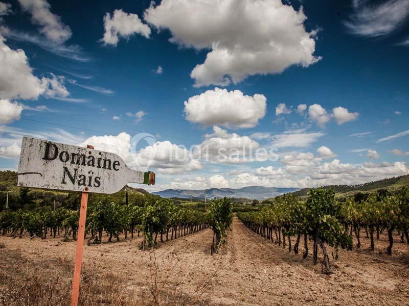 Location salle Rognes (Bouches-du-Rhône) - Domaine Naïs #10 Vignoble sous un ciel partiellement nuageux avec un panneau indiquant ’Domaine Naïs’ au premier plan.