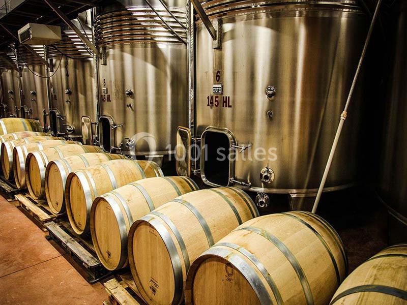 Location salle Rognes (Bouches-du-Rhône) - Domaine Naïs #21 Rangées de fûts en bois et cuves en acier inoxydable dans une cave de vinification.