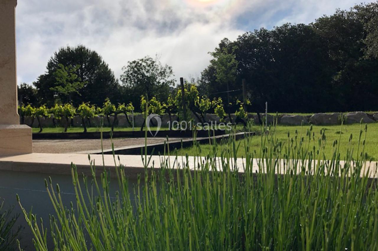 Location salle Rognes (Bouches-du-Rhône) - Domaine Naïs #6 Lavande au premier plan, vignoble en arrière-plan sous un ciel partiellement ensoleillé, bordé d'arbres et de pierres.