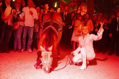 Assortiment de fromages et saumon fumé sur une table avec une bouteille de vin rouge, verres et cheminée en arrière-plan.