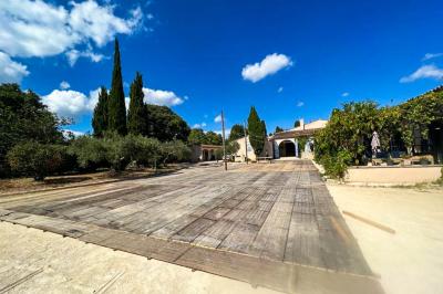 Assortiment de fromages et saumon fumé sur une table avec une bouteille de vin rouge, verres et cheminée en arrière-plan.