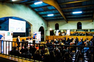 Assortiment de fromages et saumon fumé sur une table avec une bouteille de vin rouge, verres et cheminée en arrière-plan.