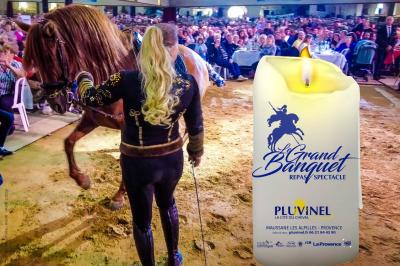 Assortiment de fromages et saumon fumé sur une table avec une bouteille de vin rouge, verres et cheminée en arrière-plan.