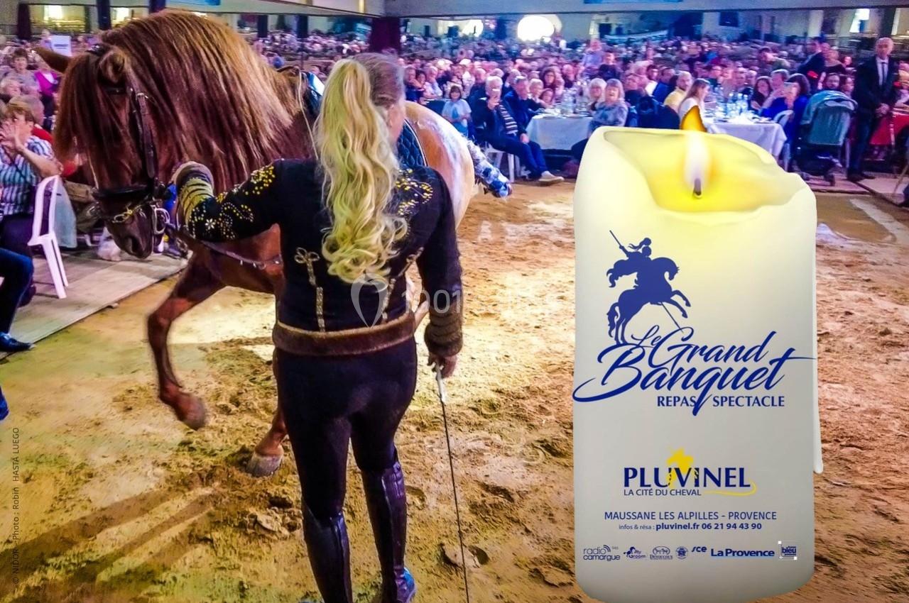 Une femme guide un cheval dans une arène devant un public assis, avec une bougie promotionnelle au premier plan.