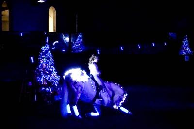 Assortiment de fromages et saumon fumé sur une table avec une bouteille de vin rouge, verres et cheminée en arrière-plan.
