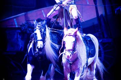 Assortiment de fromages et saumon fumé sur une table avec une bouteille de vin rouge, verres et cheminée en arrière-plan.