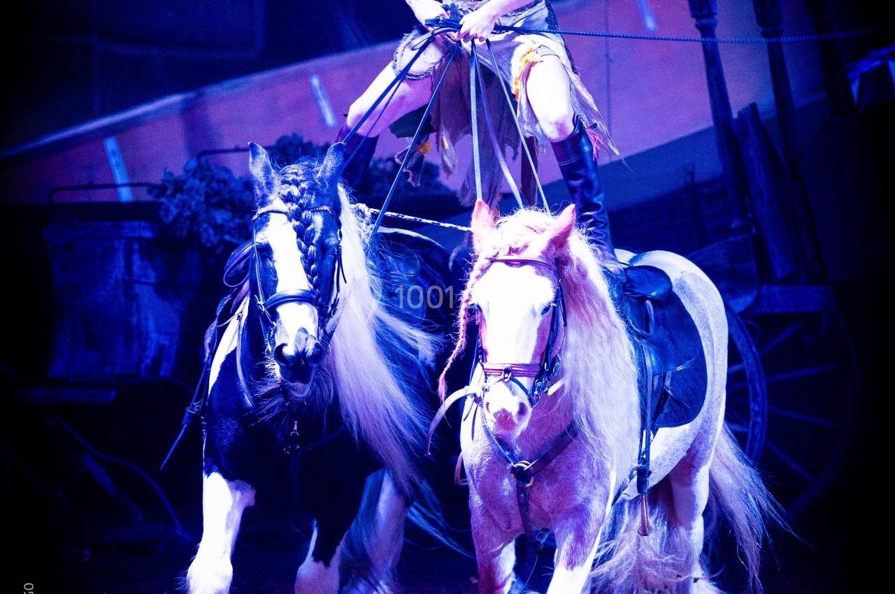 Cavalière debout sur deux chevaux en mouvement lors d'un spectacle équestre sous éclairage coloré.