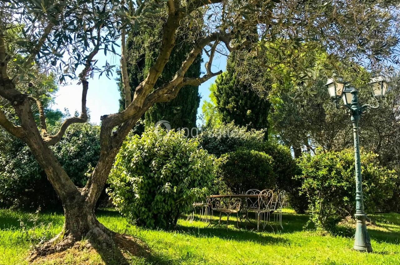 Table et chaises en fer forgé sous un olivier dans un jardin verdoyant, éclairé par un lampadaire ancien.