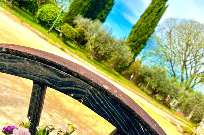 Assortiment de fromages et saumon fumé sur une table avec une bouteille de vin rouge, verres et cheminée en arrière-plan.