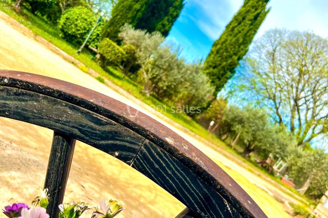 Vue d’un chemin bordé de cyprès et d’arbres, avec des fleurs roses dans un panier au premier plan.
