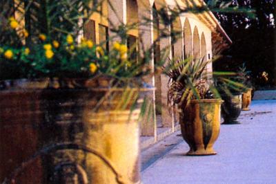 Assortiment de fromages et saumon fumé sur une table avec une bouteille de vin rouge, verres et cheminée en arrière-plan.
