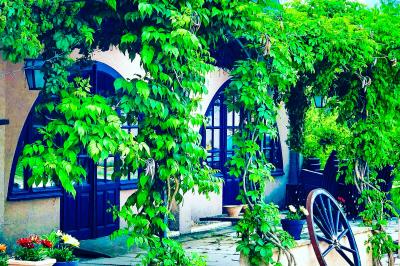 Assortiment de fromages et saumon fumé sur une table avec une bouteille de vin rouge, verres et cheminée en arrière-plan.