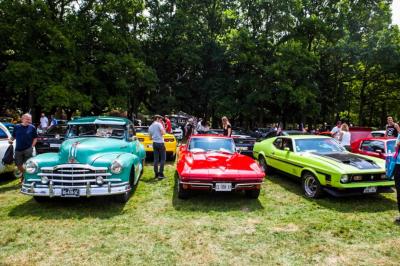 Assortiment de fromages et saumon fumé sur une table avec une bouteille de vin rouge, verres et cheminée en arrière-plan.