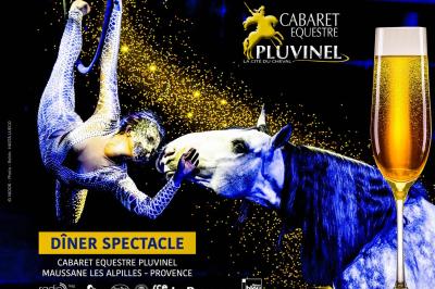 Assortiment de fromages et saumon fumé sur une table avec une bouteille de vin rouge, verres et cheminée en arrière-plan.