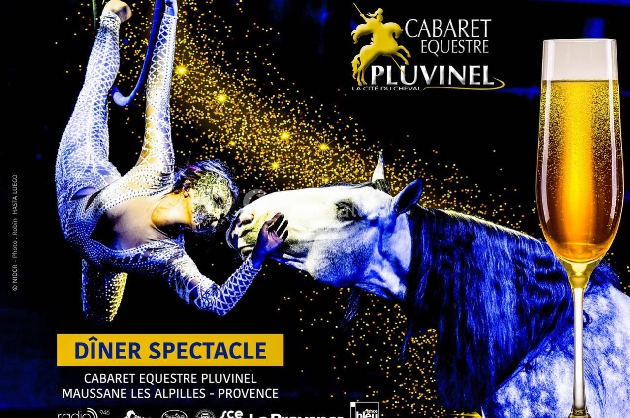 Artiste acrobatique suspendue près d'un cheval blanc, avec un verre de champagne au premier plan et un fond scintillant.