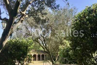 Location salle Maussane-les-Alpilles (Bouches-du-Rhône) - Domaine Pluvinel la Cité du Cheval #14