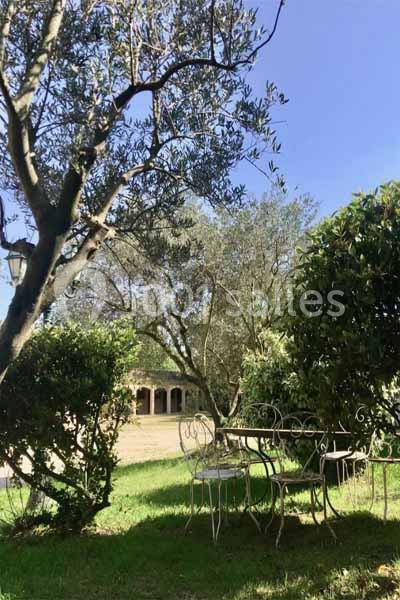 Location salle Maussane-les-Alpilles (Bouches-du-Rhône) - Domaine Pluvinel la Cité du Cheval #14