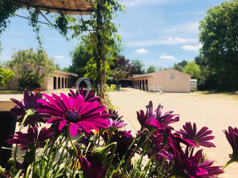 Location salle Maussane-les-Alpilles (Bouches-du-Rhône) - Domaine Pluvinel la Cité du Cheval #3