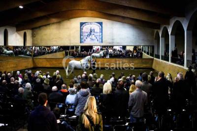 Location salle Maussane-les-Alpilles (Bouches-du-Rhône) - Domaine Pluvinel la Cité du Cheval #14