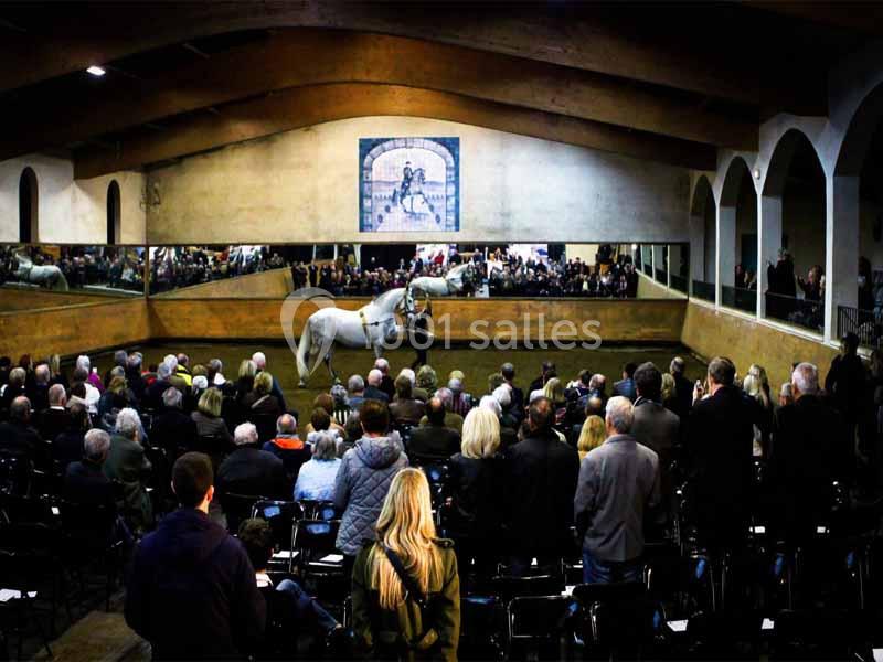 Location salle Maussane-les-Alpilles (Bouches-du-Rhône) - Domaine Pluvinel la Cité du Cheval #9