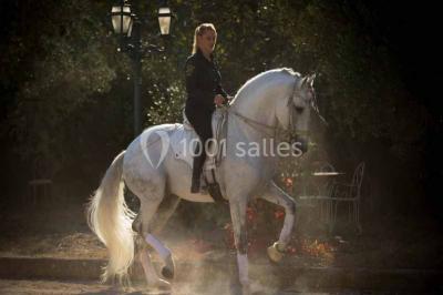 Location salle Maussane-les-Alpilles (Bouches-du-Rhône) - Domaine Pluvinel la Cité du Cheval #14
