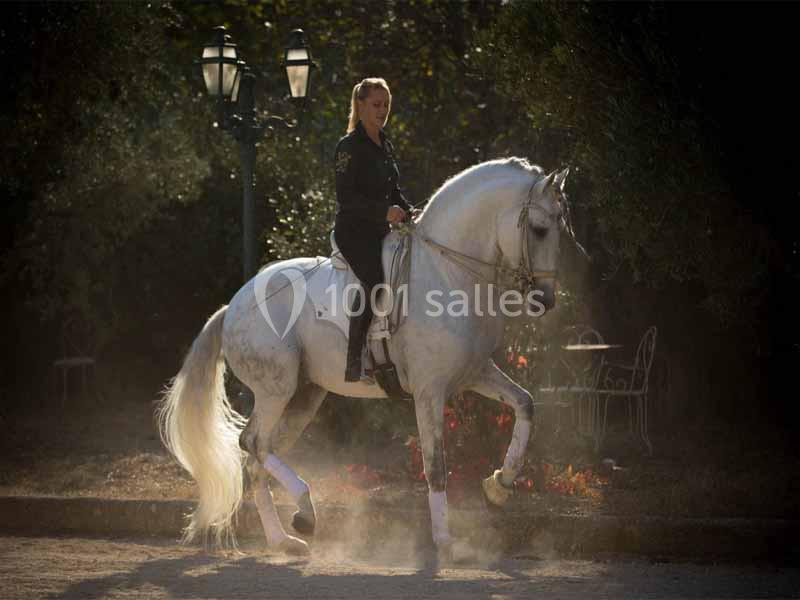 Location salle Maussane-les-Alpilles (Bouches-du-Rhône) - Domaine Pluvinel la Cité du Cheval #13