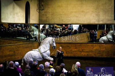 Location salle Maussane-les-Alpilles (Bouches-du-Rhône) - Domaine Pluvinel la Cité du Cheval #14