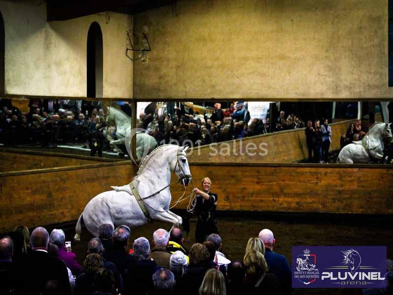 Location salle Maussane-les-Alpilles (Bouches-du-Rhône) - Domaine Pluvinel la Cité du Cheval #10