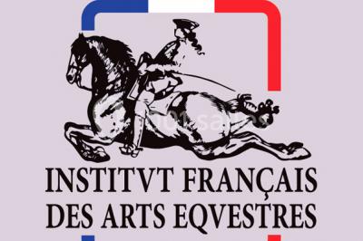 Location salle Maussane-les-Alpilles (Bouches-du-Rhône) - Domaine Pluvinel la Cité du Cheval #14