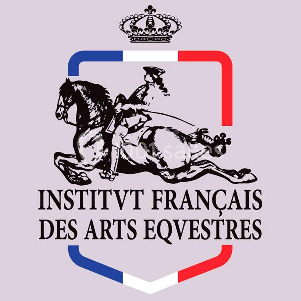 Location salle Maussane-les-Alpilles (Bouches-du-Rhône) - Domaine Pluvinel la Cité du Cheval #8