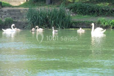 Location salle Champigny-sur-Marne (Val-de-Marne) - Le Chalet Des Bords De Marne #8