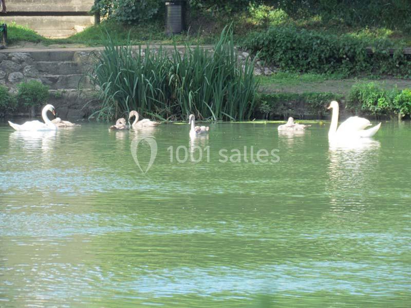 Location salle Champigny-sur-Marne (Val-de-Marne) - Le Chalet Des Bords De Marne #8