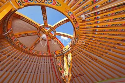 Assiette gastronomique avec une entrée raffinée composée de légumes, sauce jaune et décoration florale comestible.